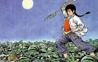 娱乐圈吃瓜的猹小说,瓜田里的那些事儿